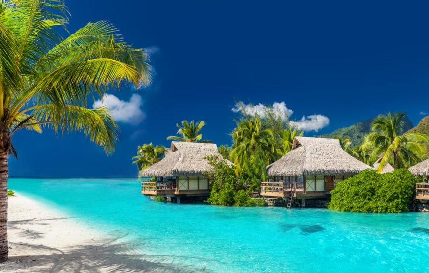 Coral Coast Day Tour