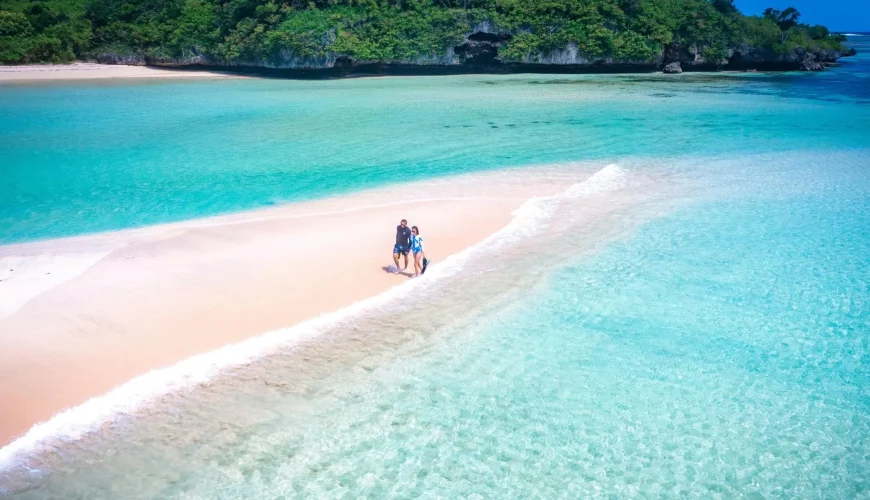 Your Ticket to Paradise!