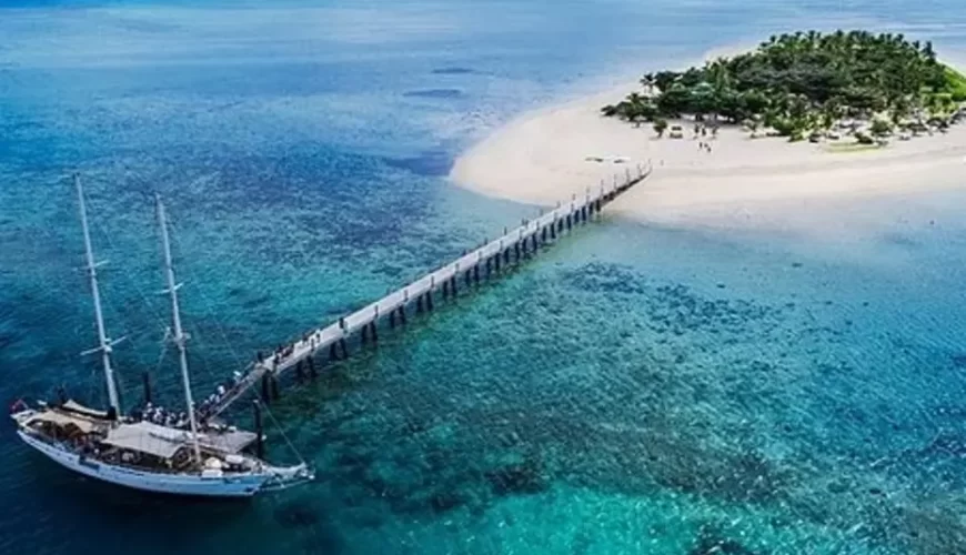 Your Ticket to Paradise!