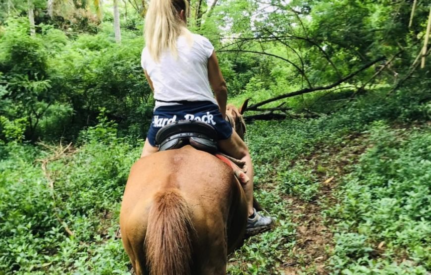 Natadola Bay Combinational Horse Ride + Beach Massage