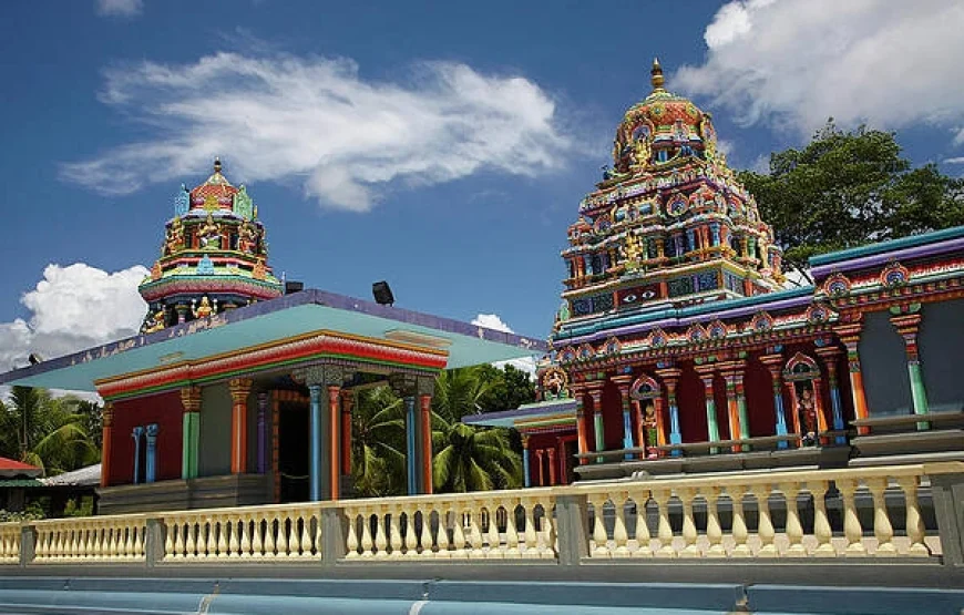Half Day Tour from Nadi includes Local Markets, Orchid Gardens, and Local Village – Shore Excursions