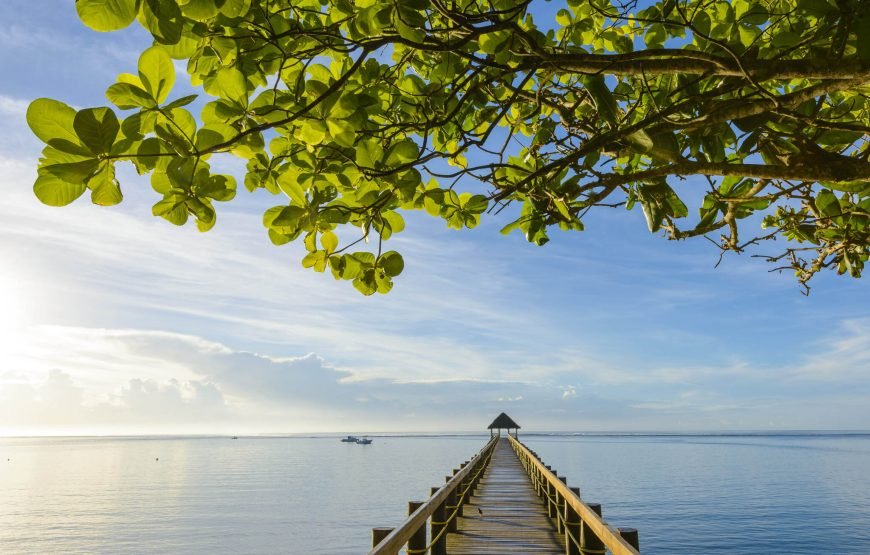 Customized  Return Transfers From Airport to Maui Bay Coral Coast