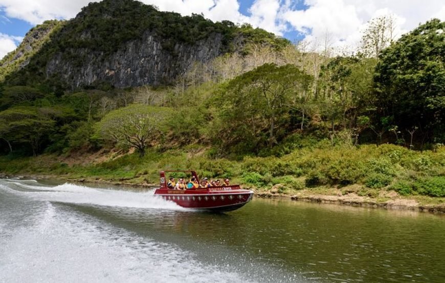 Jet Boat Safari on the Sigatoka River
