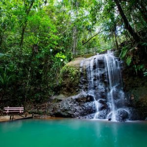 Colo-i-Suva Forest Waterfall Tour