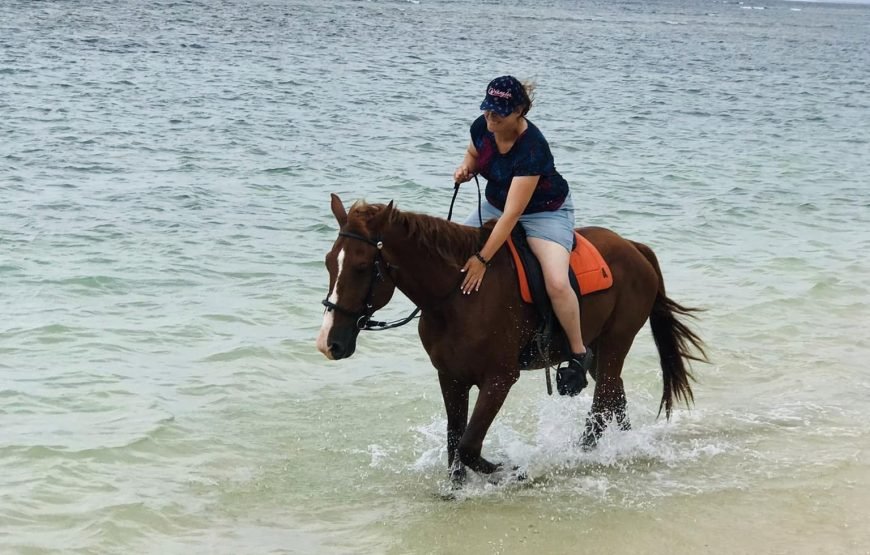 Natadola Bay Combinational Horse Ride + Beach Massage