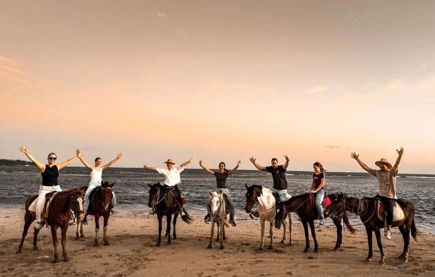 Natadola Beach Combinational Horse Riding Fiji