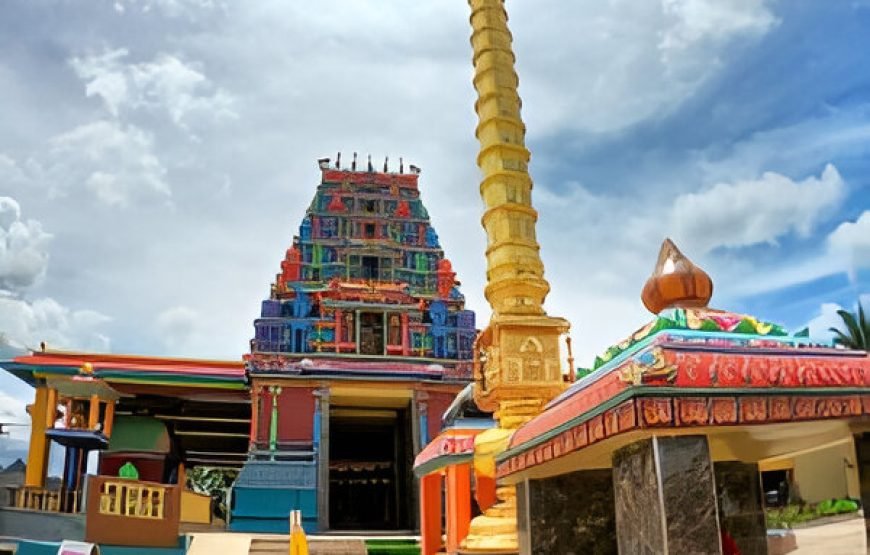Nadi Full Day Tour Up to 40% Off in Fiji