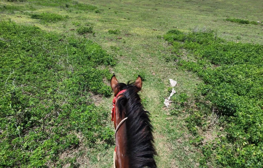 Natadola Beach Combinational Horse Riding Fiji
