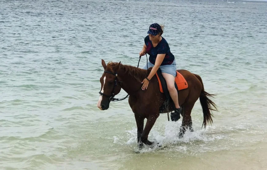 Natadola Beach Combinational Horse Riding Fiji