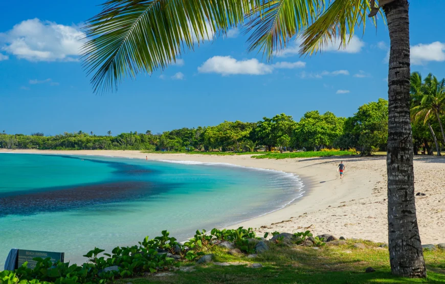 Nadi Full Day Tour Up to 40% Off in Fiji