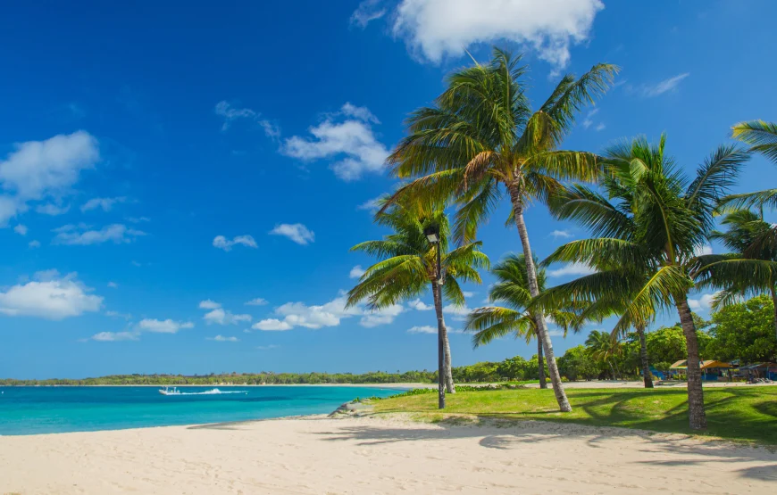 Nadi Full Day Tour Up to 40% Off in Fiji