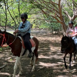 Natadola Beach Cross Country Horse Riding Fiji