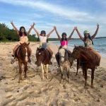 A Guide to Budget-Friendly Tours in Fiji