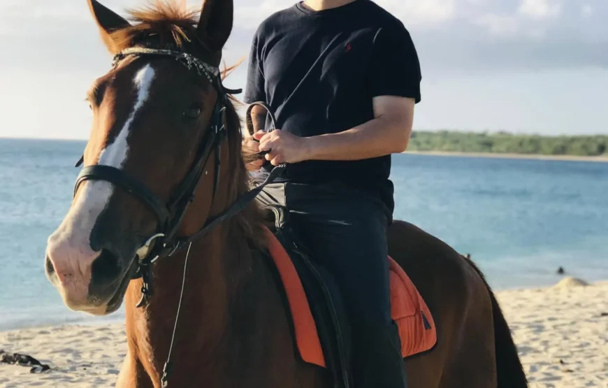 Natadola 2 hour Beach Horse Riding Tour Fiji – AU$159