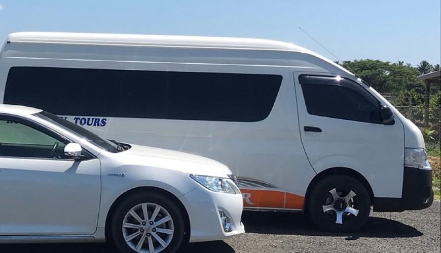 Your Ticket to Paradise!