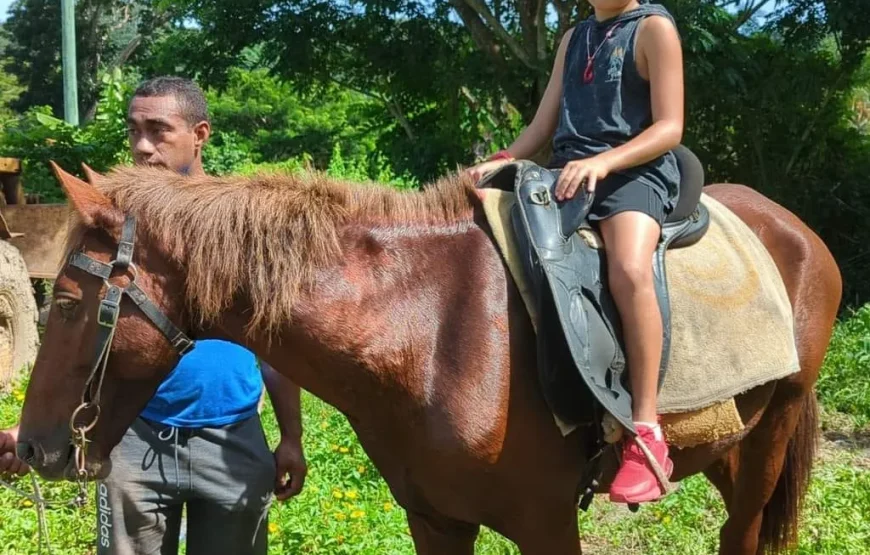 Coral Coast Horse Riding in Fiji with Fijian Hooves and Lovo Delights