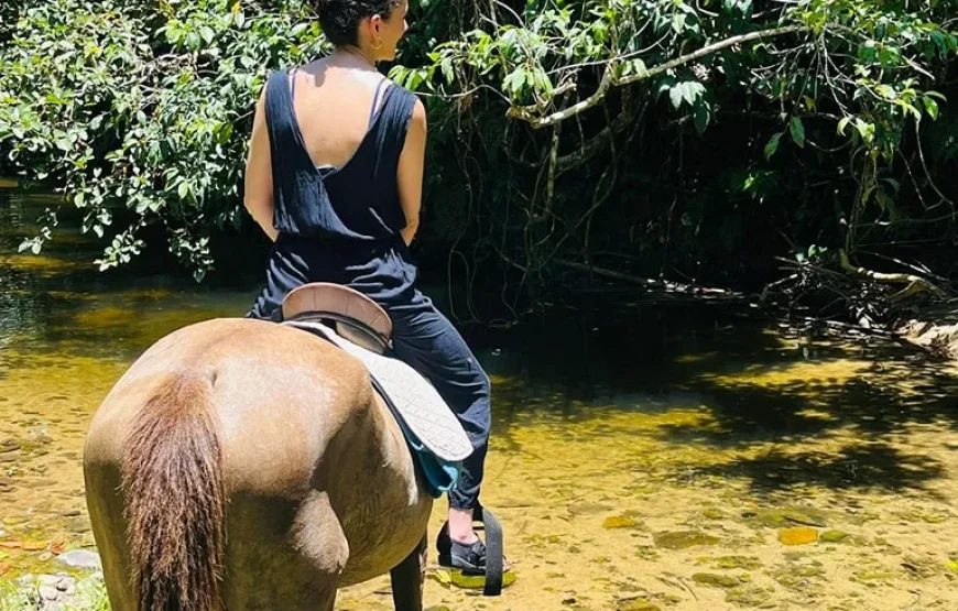 Coral Coast Horse Riding in Fiji with Fijian Hooves and Lovo Delights