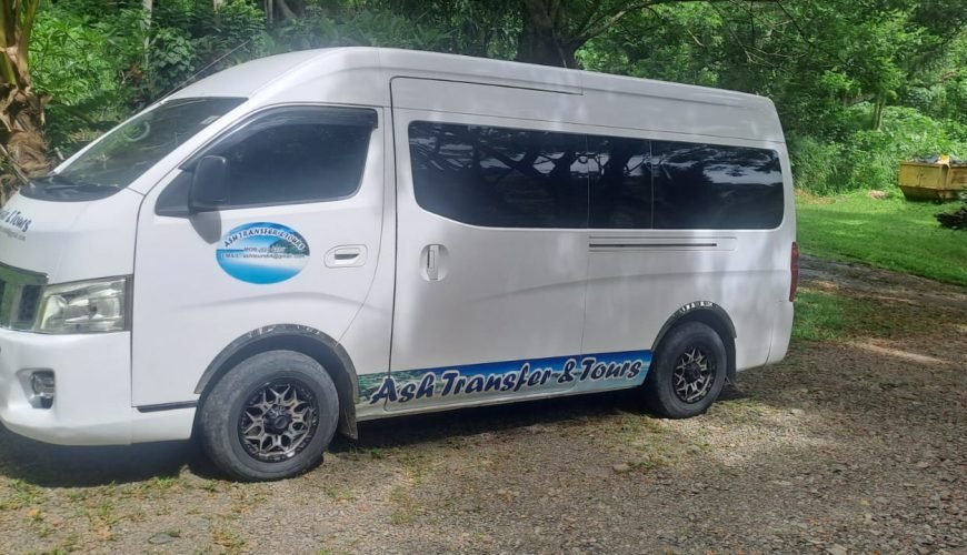 Your Ticket to Paradise!