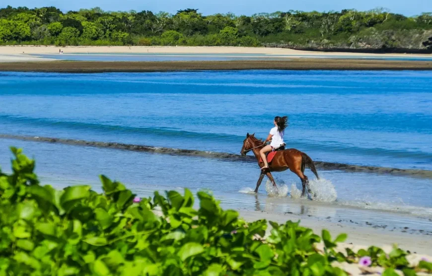 Coral Coast Beach Horse Riding Tour Fiji Advance Payment