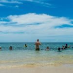 Your Ticket to Paradise!