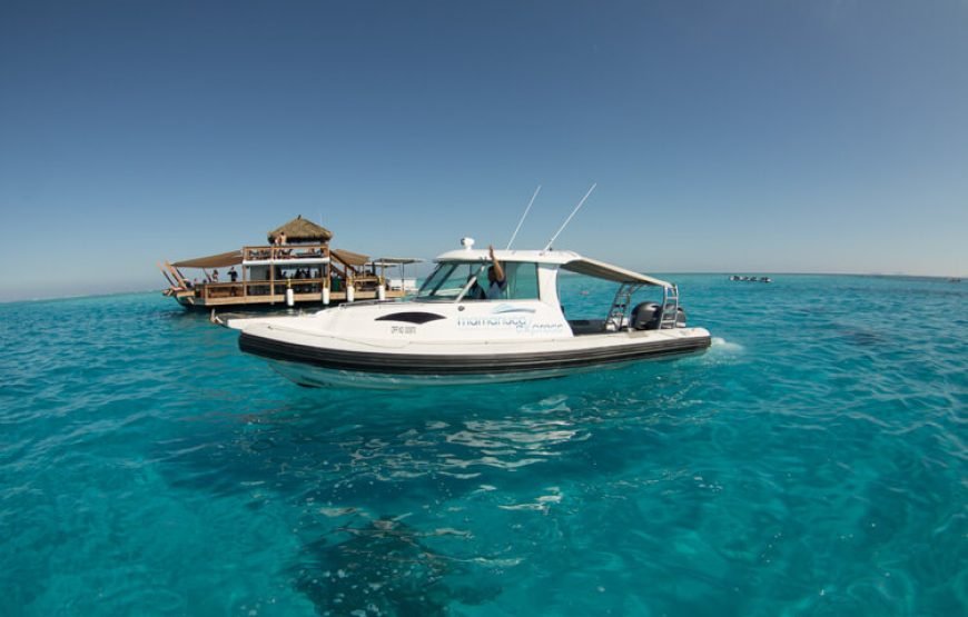 The Yacht Tour