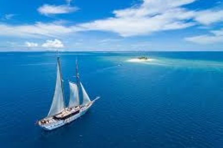 Your Ticket to Paradise!