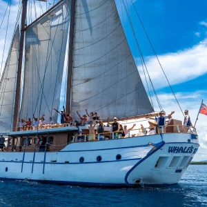 Whale's Tale Cruises Fiji (Denarau Island)