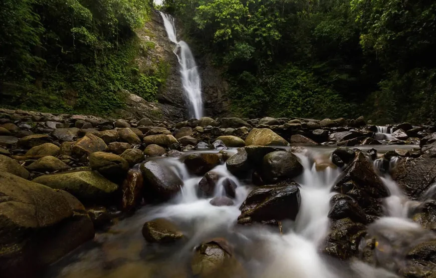 Best of Nadi Highlights