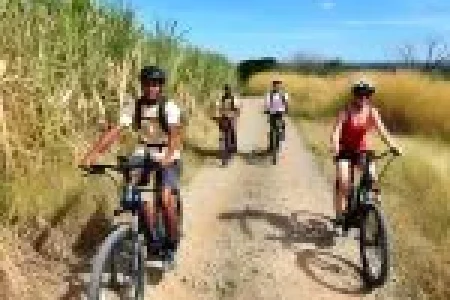Adventure Awaits: Off-Road E-Bike Tour in Nadi’s Foothills