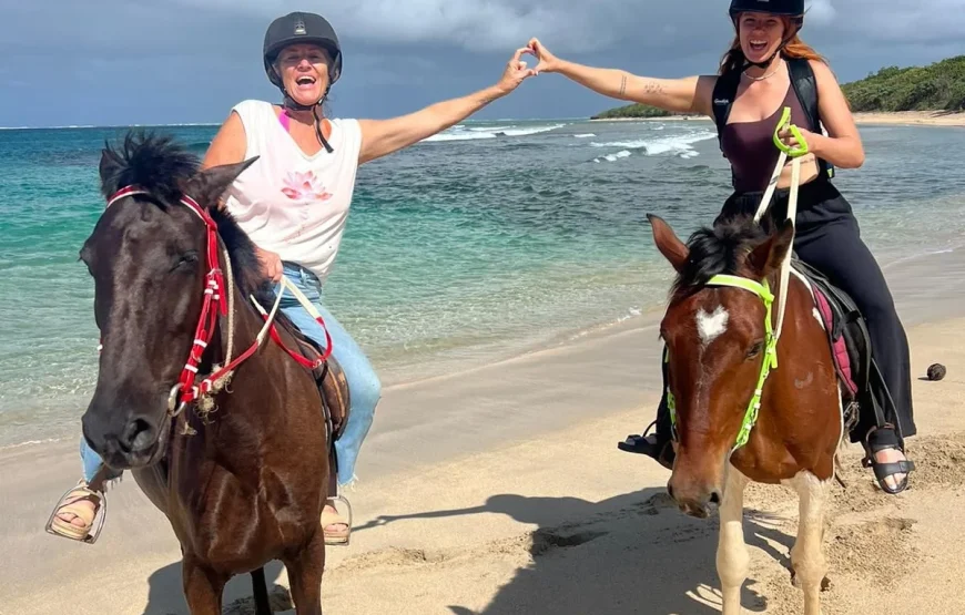 Nadi Full Day Tour Up to 40% Off in Fiji