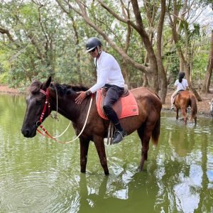 Natadola Beach Combinational Horse Riding Fiji
