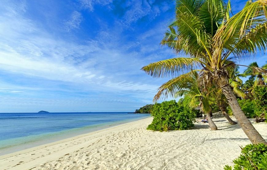 Savusavu Beach & Snorkeling Adventure