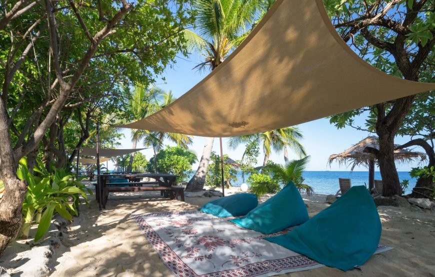 Half Day Island Cruise Tour Fiji