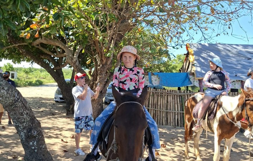 Natadola Beach Combinational Horse Riding Fiji
