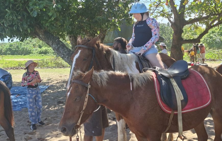 Natadola Beach Combinational Horse Riding Fiji