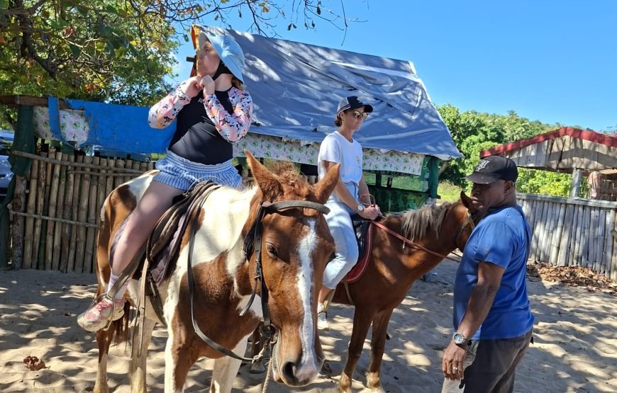 Natadola Beach Combinational Horse Riding Fiji