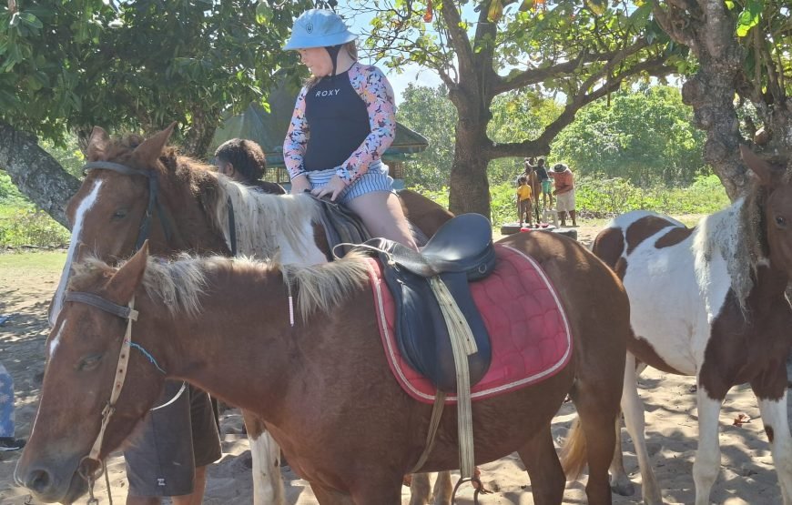 Natadola Beach Combinational Horse Riding Fiji