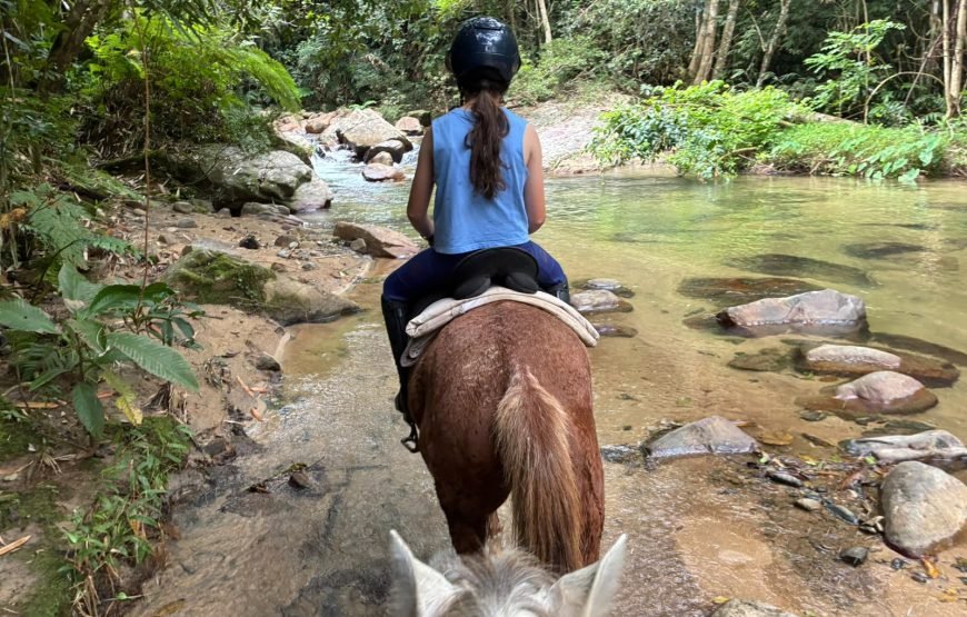 Natadola Beach Combinational Horse Riding Fiji