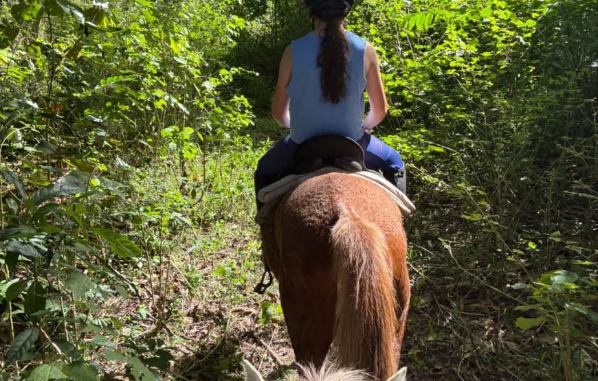 Natadola Beach Combinational Horse Riding Fiji