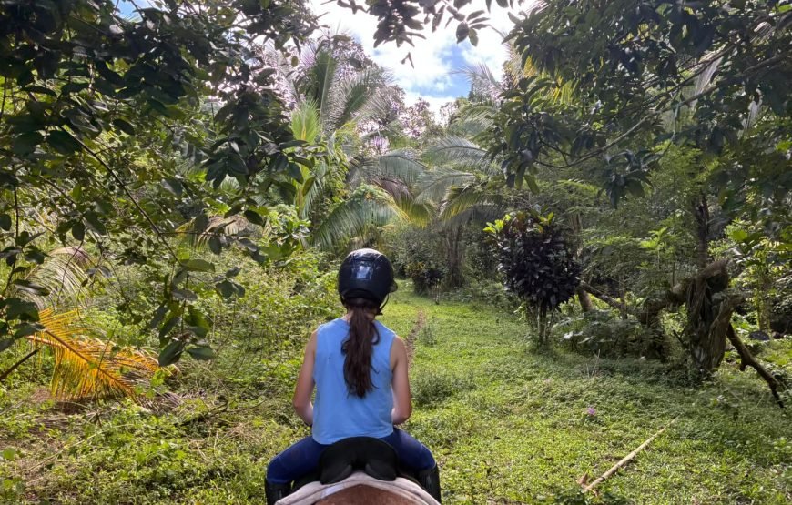 Natadola Beach Combinational Horse Riding Fiji